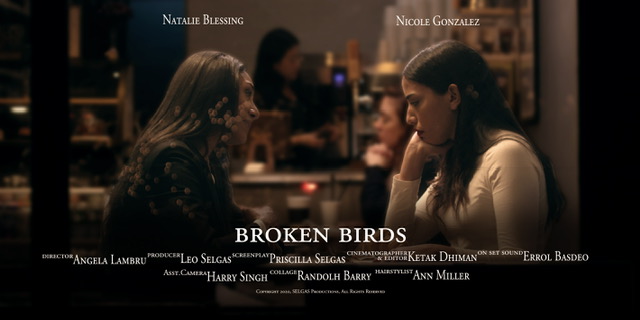 Broken Birds 2020 (2020)