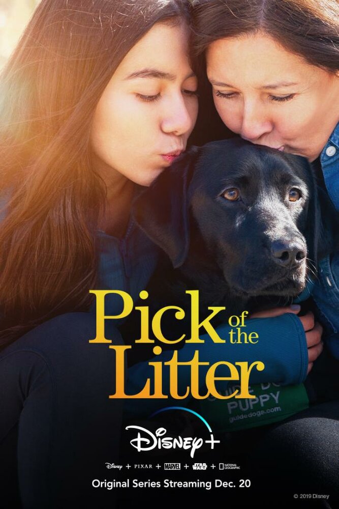 Pick of the Litter (2019)